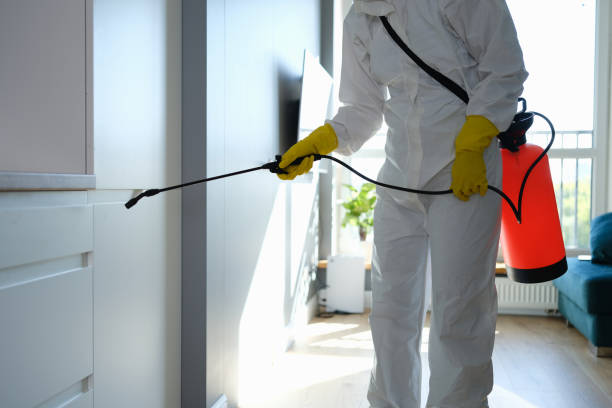 Best Office Mold Removal Services  in Oak Hill, OH