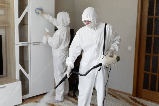 Best Mold Remediation  in Oak Hill, OH