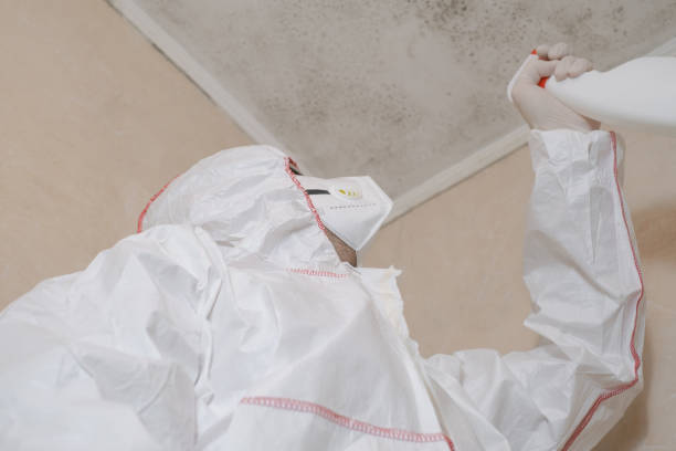 Office Mold Removal Services in Oak Hill, OH