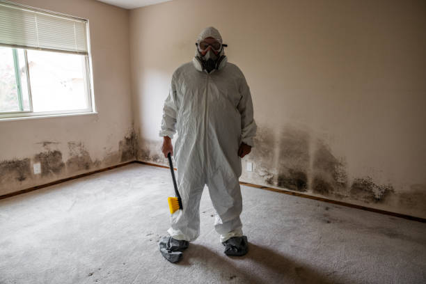 Best Professional Mold Removal  in Oak Hill, OH